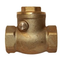 Swing Check Valve | All Hose and Valves